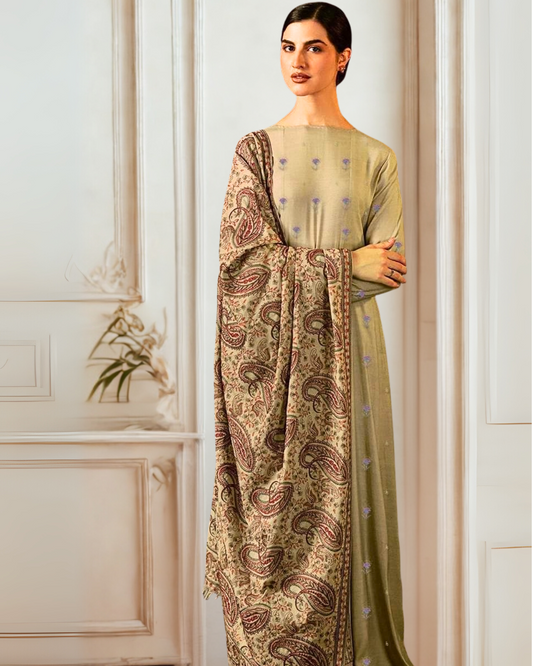 Fully Embroidered 3PC Dress With Heavy EMB Shawl - W28
